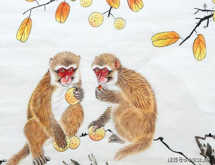 好运气打一个生肖—经典解释与现实生活的落实