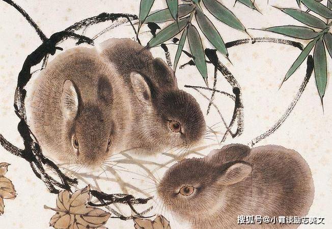 节外生枝打一生肖，兔—理想与行动的和谐统一