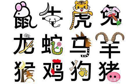 十二生肖之谜，鼠—人生哲理的深度解析