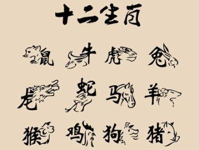 甲打一生肖，解密生肖之谜，探寻非凡解释的落实