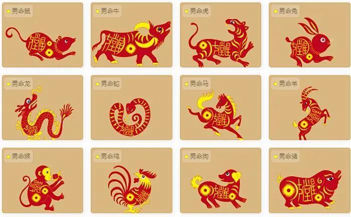 生肖之礼，解锁人生智慧，融入现代生活的能人之道