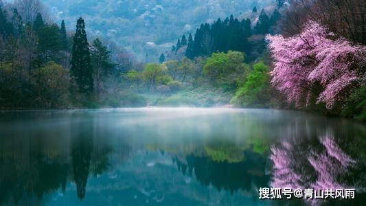 画山画水一美景打生肖、真相解释落实