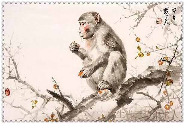 金子打一生肖，不安分之选中的智慧与机遇