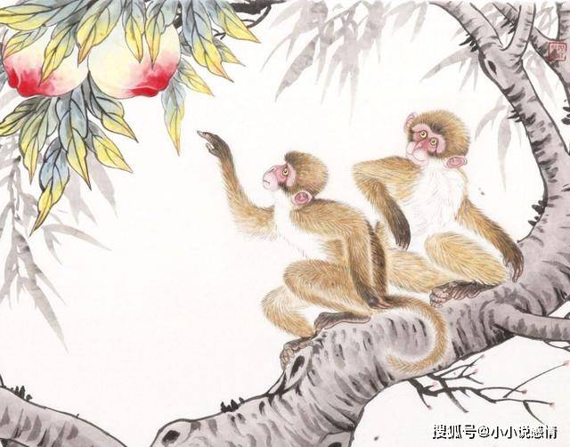 最能用心打一生肖、的故事与寓意