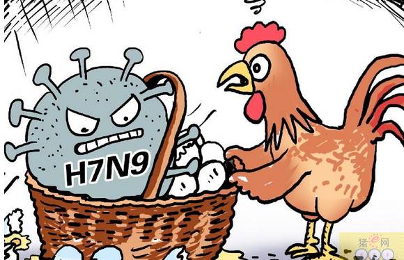 所图不轨打一生肖、积极作答，落实解释