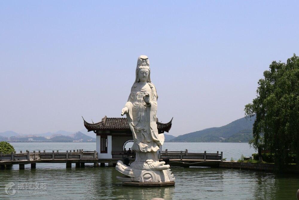 陶公菩萨打一生肖、背后的智慧与哲理