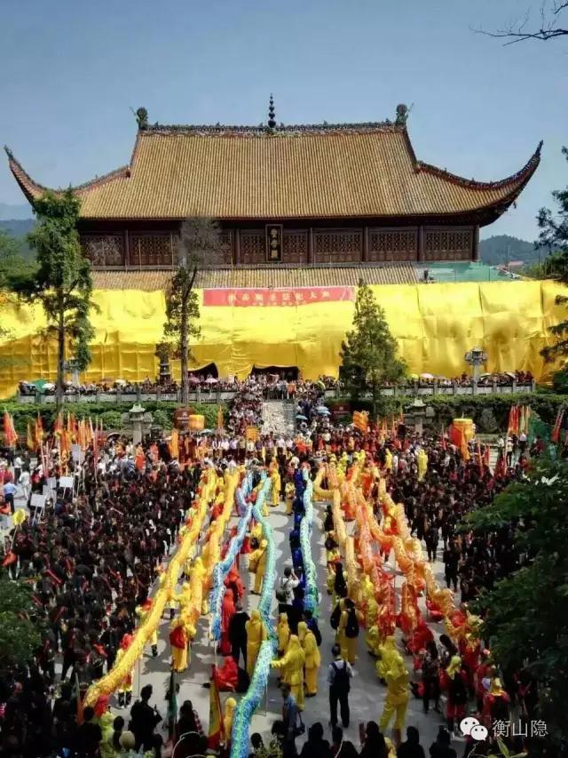 天路与不安分之选，生肖之谜的深度解析