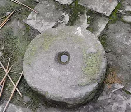 院字打一生肖、通常作答落实解释