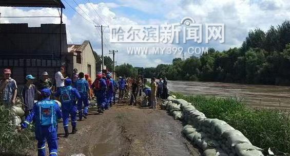 地震高岗与生肖之谜，网络解释的深度解析与落实