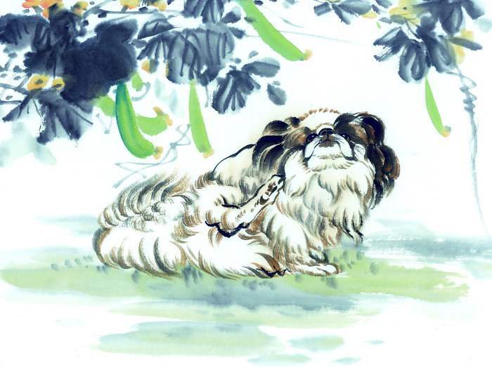 家中金物打一生肖、解释与落实的和谐共舞