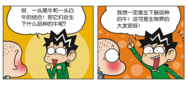 黑灯瞎火打一生肖、一场误导解释的落实与反思