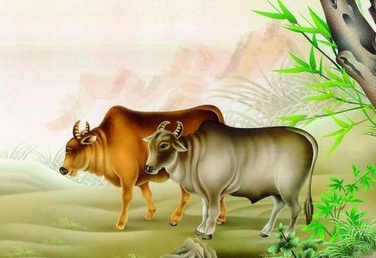 天荒地老话生肖—揭秘牛的永恒寓意 天荒地老话生肖—揭秘牛的永恒寓意