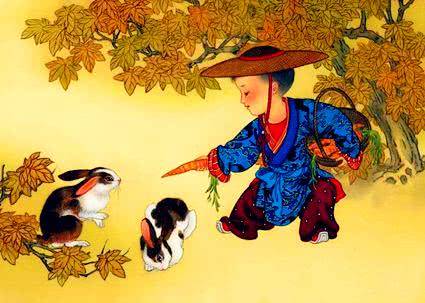 衰草打一生肖、解释与落实的和谐共舞