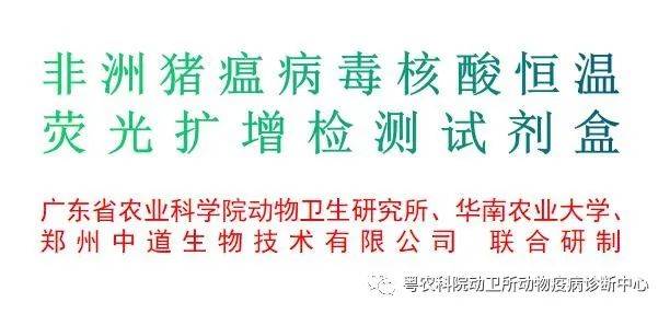皇家子弟的启示，生肖之光与积极转变的实践