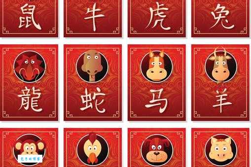 大门打一生肖、全面解析与落实