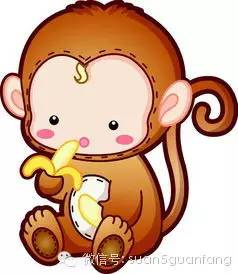 十二生肖中的智者，算打生肖哪一肖，最让人佩服