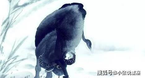 逢凶化吉，生肖背后的坚韧与不屈