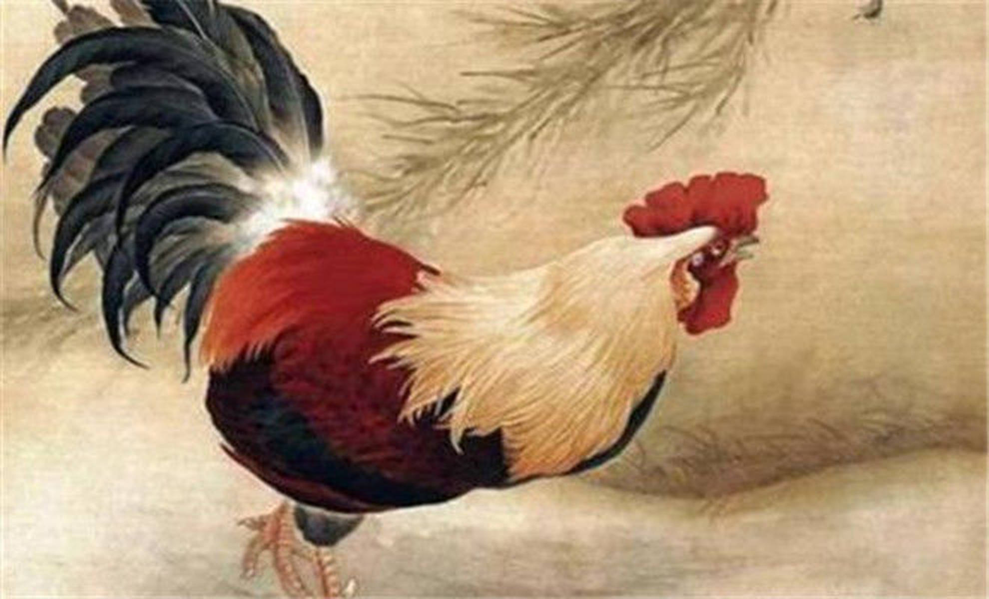 难舍难分打一生肖、奥秘解释落实