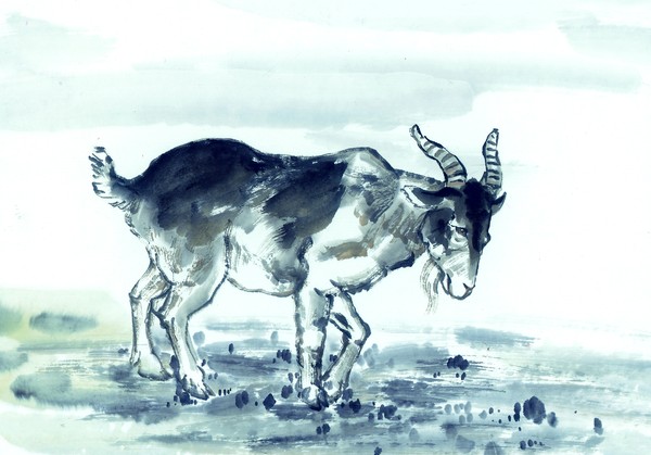 风调雨顺与生肖的神秘联系—以牛为例的创造与落实