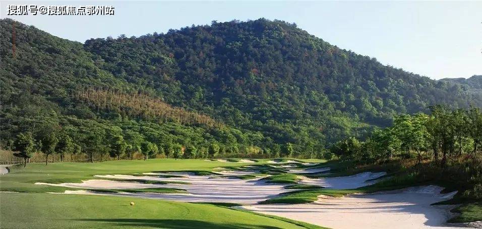 气象一新打一生肖、精选解析与落实的详细结果 气象一新打一生肖、精选解析与落实的详细结果