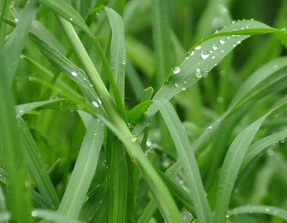 一呜惊人打一生肖、的故事与寓意