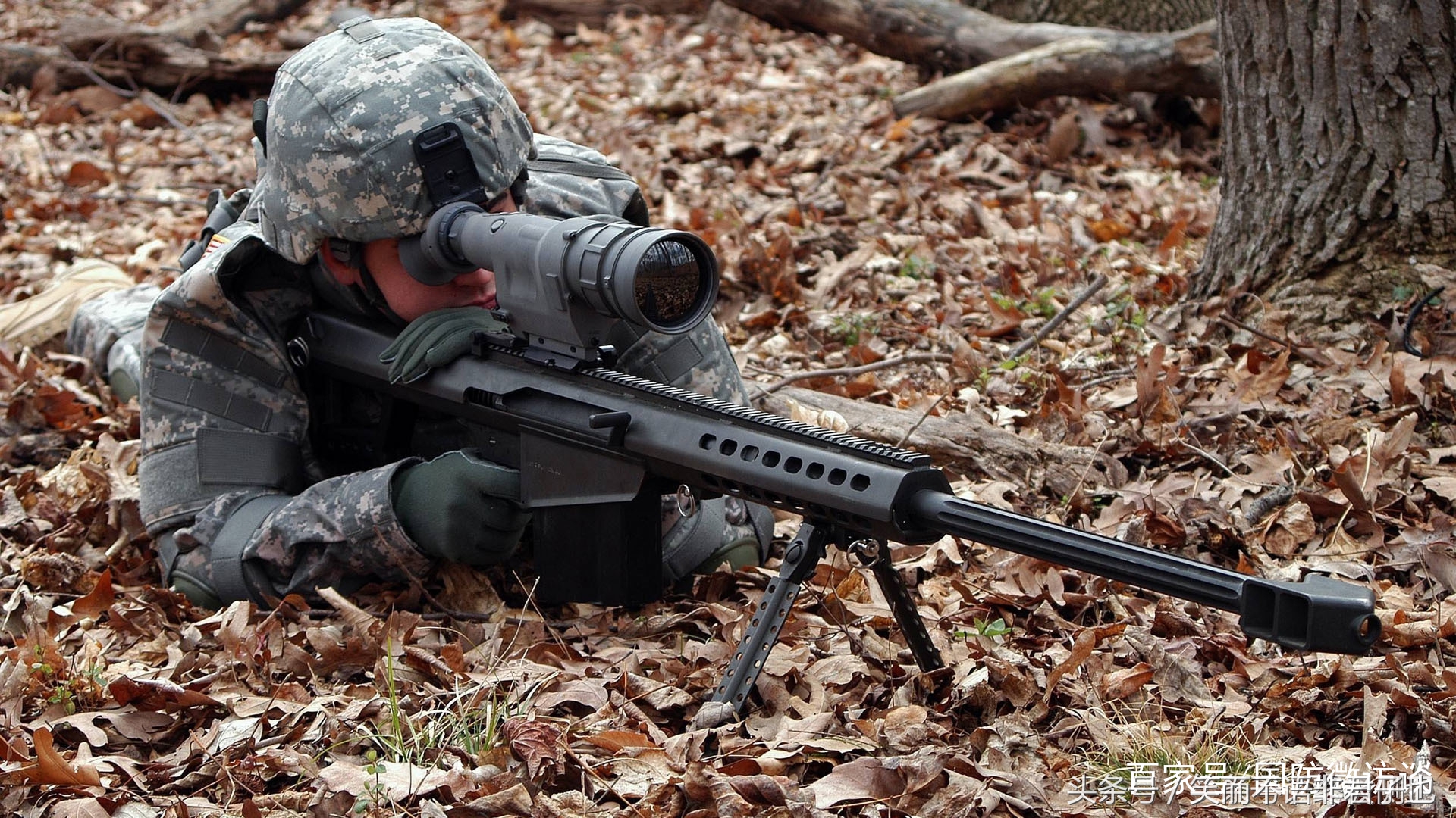 小米步枪与时代精神的生肖寓意—以牛为例谈小米步枪打一生肖的深层含义及时代解释落实