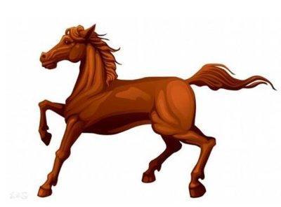 揭秘生肖之谜，谁是最狡猾的生肖？