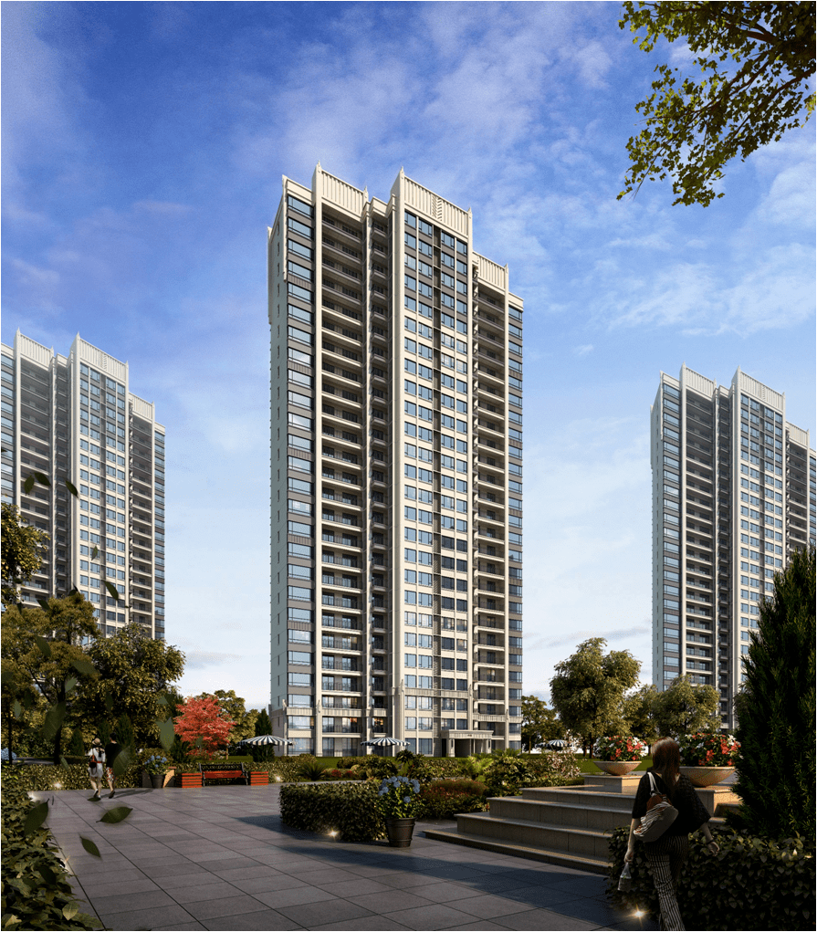 急字打一生肖，全面解析与落实