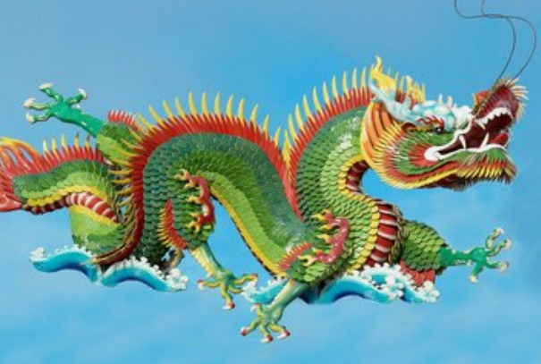 才高八斗与积极行动，生肖之龙的完美结合