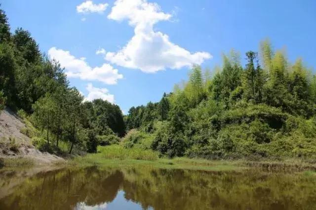 今期土木生肖头打一肖、热议解释落实