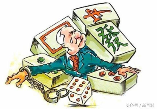 三缺一打一生肖的误导与反思,一场文化游戏中的逻辑陷阱 三缺一打一生肖的误导与反思,一场文化游戏中的逻辑陷阱