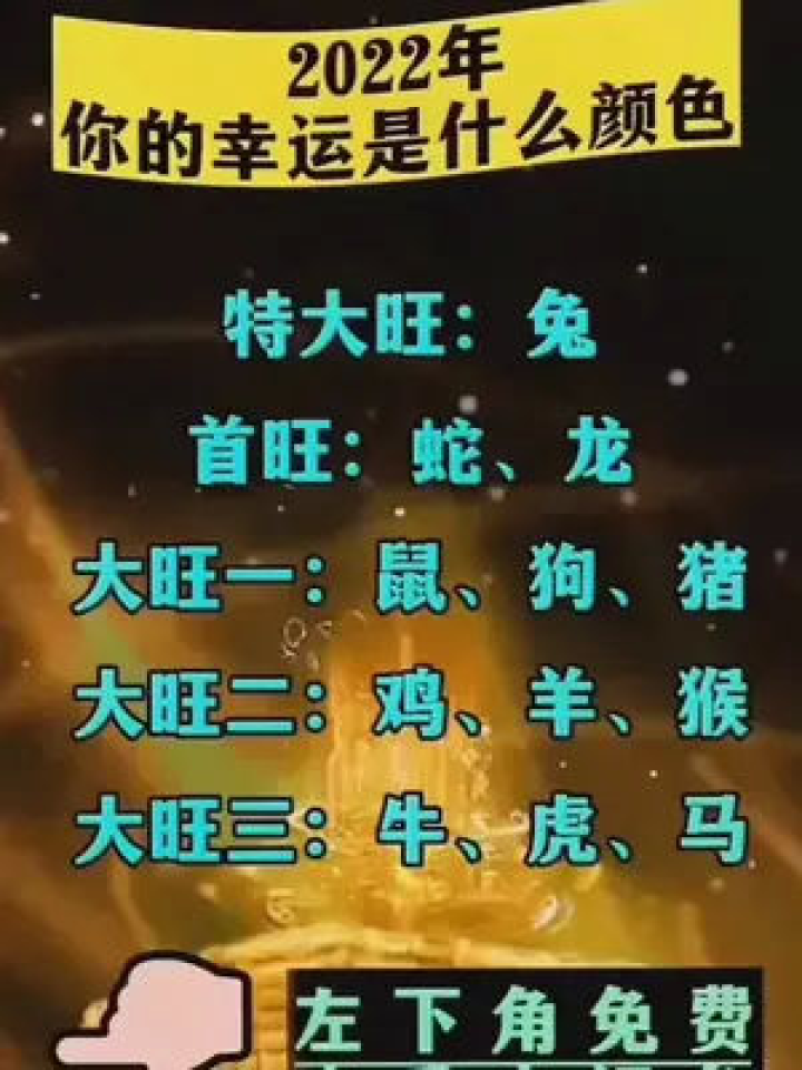 守护神与生肖，深度解析与落实的智慧