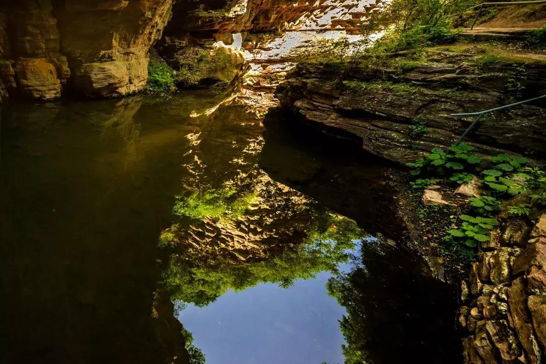 七夕九天打一生肖、背后的智慧与哲理